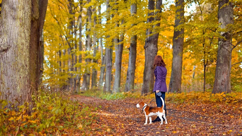 Entä, jos alkaisit nimittää epävarmuutta ihmettelyksi ja epävarmuuksiasi vapaudeksi?
