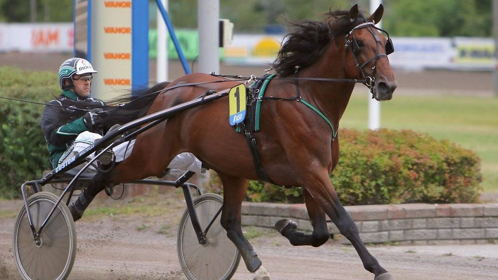 Different Step starttaa Kouvolan Toto4-kierroksen toisen kohteen suosikkina.