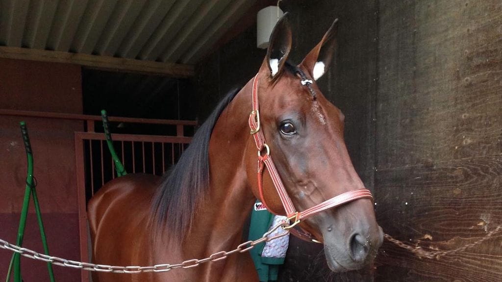 Bacardi Razz on radalla raivokas kilpailija mutta muutoin leppoisaakin leppoisampi tapaus.