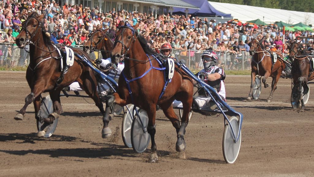 Callela Ladyboss on Einari Vidgrenin Muistoajon suosikki.