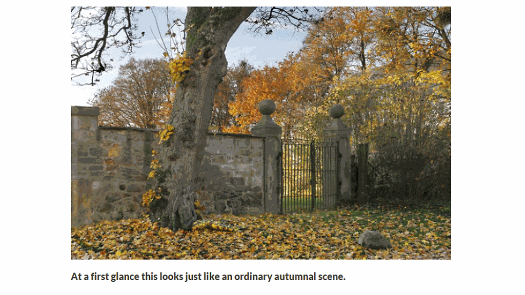 Saksalaistaiteilija Jörg Düsterwald on piilottanut naisen tähän kuvaan, löydätkö hänet?