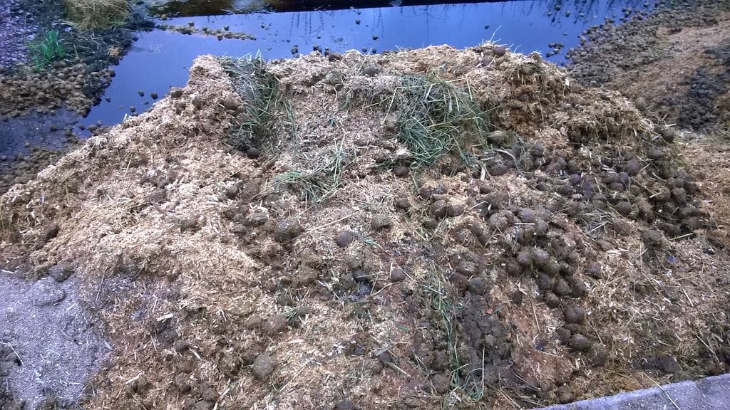 Hevosenlanta, lantaa, Karlvikin Ratsastuskoulu, Helsinki