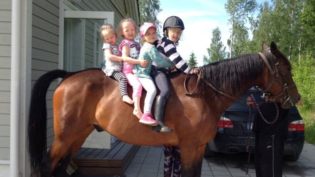 Voittoisa hevosenomistajatiimi Kolme Tyttöä viihtyy käytännönläheisissä hevoshommissa. Kuvassa vasemmalta oikealle Lotte, Eea, Iida ja Emmi.
