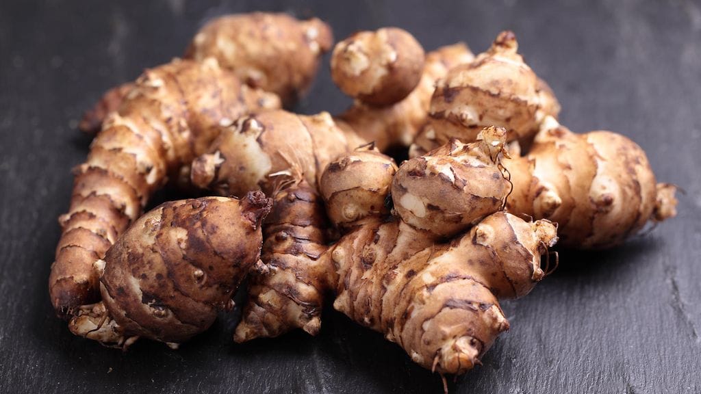 Älä anna ulkomuodon hämätä. Maa-artisokka on herkullinen ja monikäyttöinen juures.