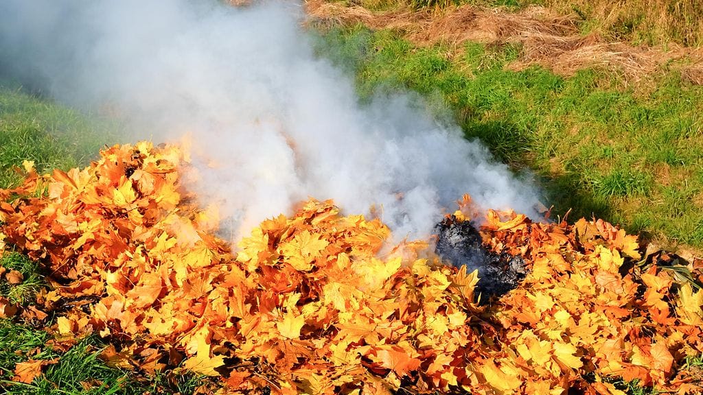 Avotulta ei saa sytyttää jos olosuhteet kuivuuden, tuulen tai muun syyn takia ovat sellaiset, että metsäpalon, ruohikkopalon tai muun tulipalon vaara on ilmeinen.