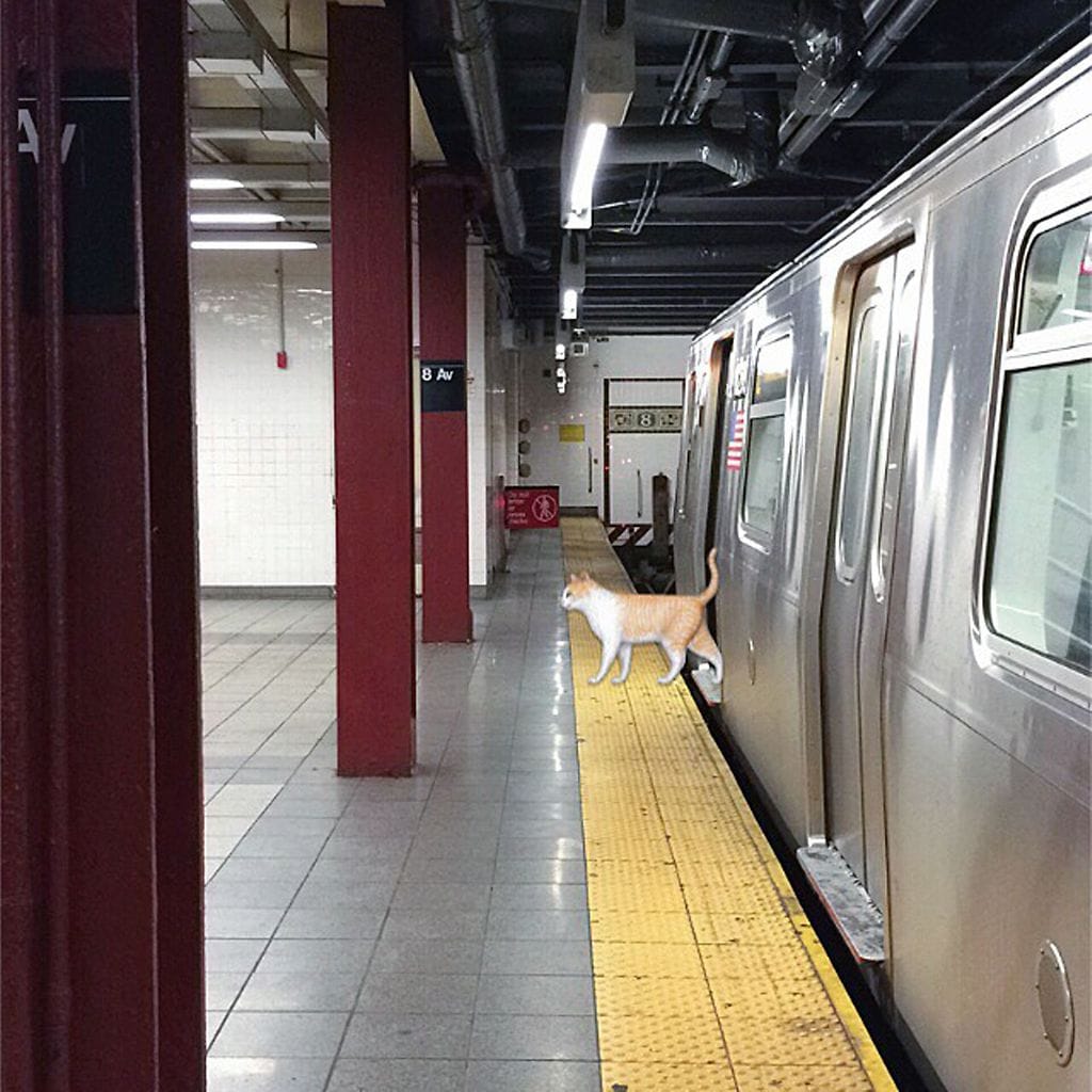 Emojeja tosimaailmassa (1)