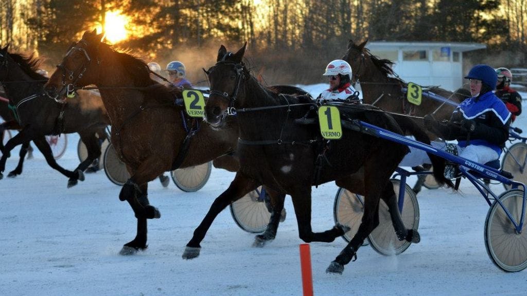 Kuvituskuva.