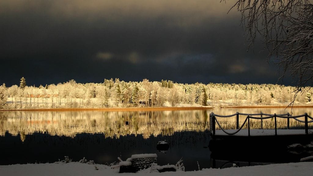 IMG_9326_jasmin_hakala