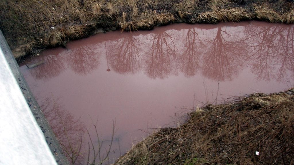 Poliisi nosti tänään ruumiin Turussa sijaitsevasta Vähäjoesta.