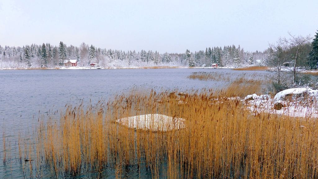 Kuvituskuva. Kuva: Matti Hietala