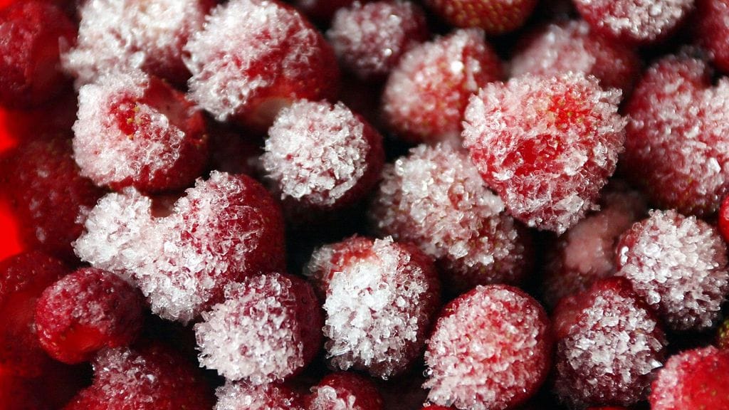 Kalle-Ville Ruohosen pakastimissa oli rutkasti marjoja ja sieniä, jotka menivät sähkökatkoksen vuoksi pilalle. Kuvituskuva.