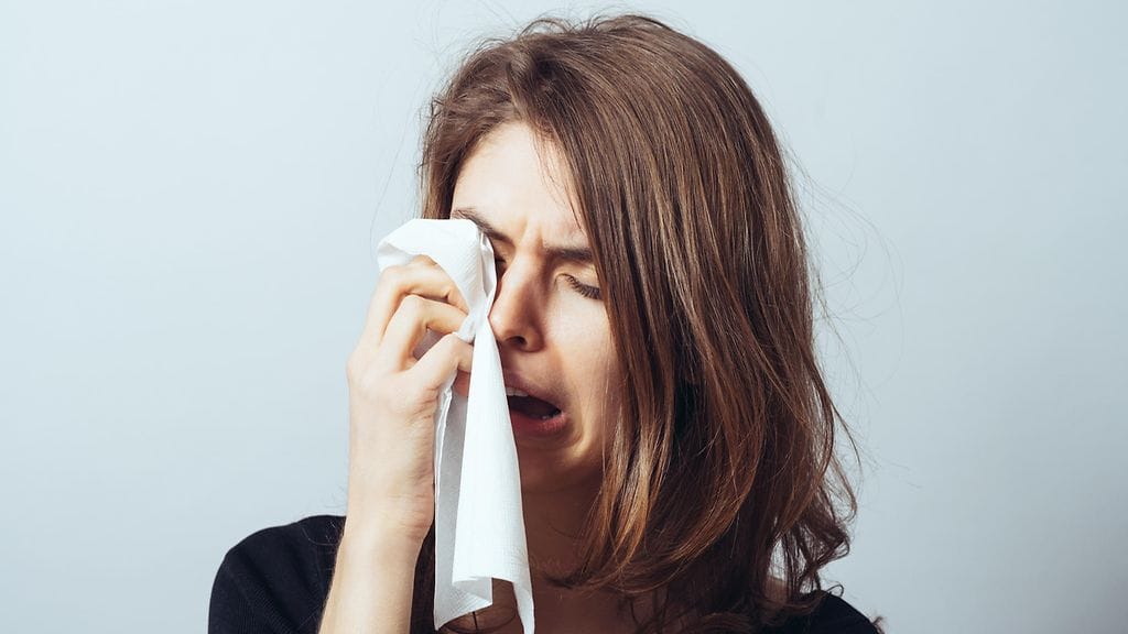 "Joutsenet voivat olla homoseksuaaleja.... Miten ihanaa! YHYYYYY!!!"