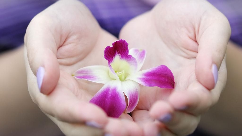 "Jokainen meistä on kaunis."