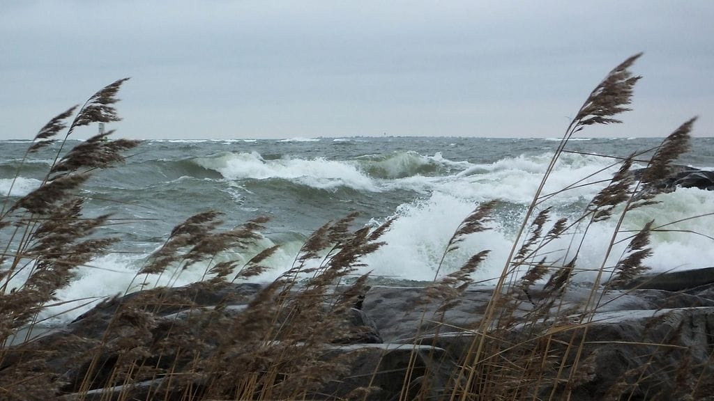 Kuvituskuva. Voimakasta tuulta Porissa 31. lokakuuta 2015. Kuva: Matti Nurmi.