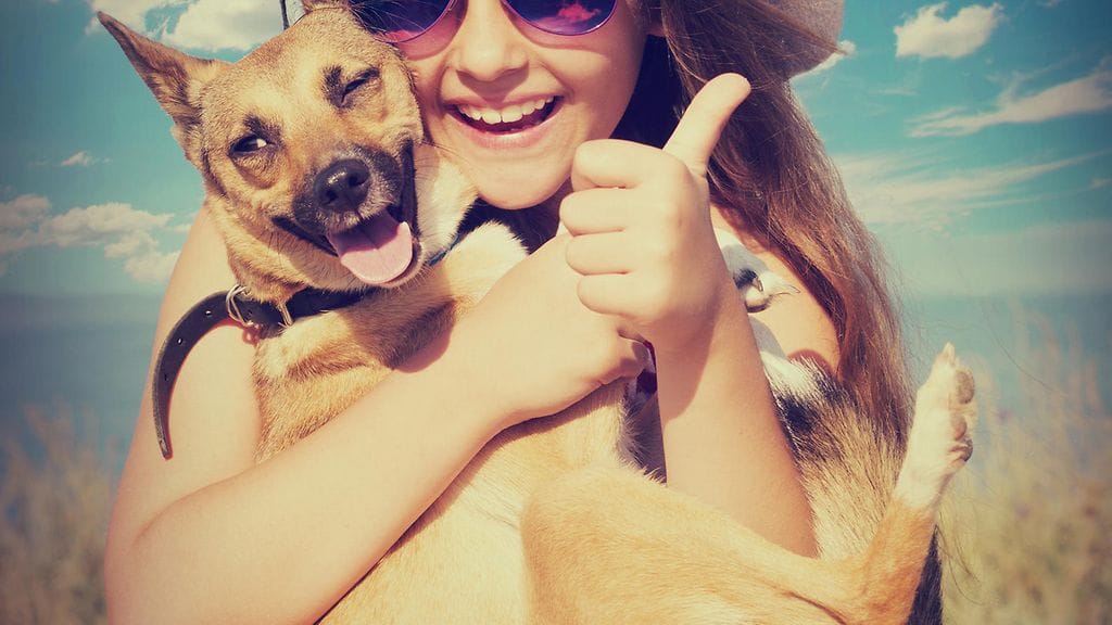 Koira voi ymmärtää omistajan tunteita jossain määrin.