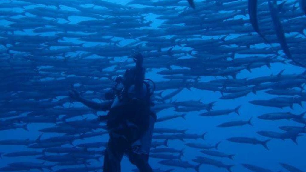 VAIN MTV LIFESTYLEN ARTIKKELIIN