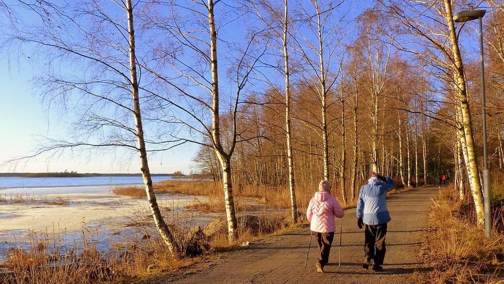 Lumeton maa Vaasassa 26. marraskuuta 2015. Kuva: Matti Hietala