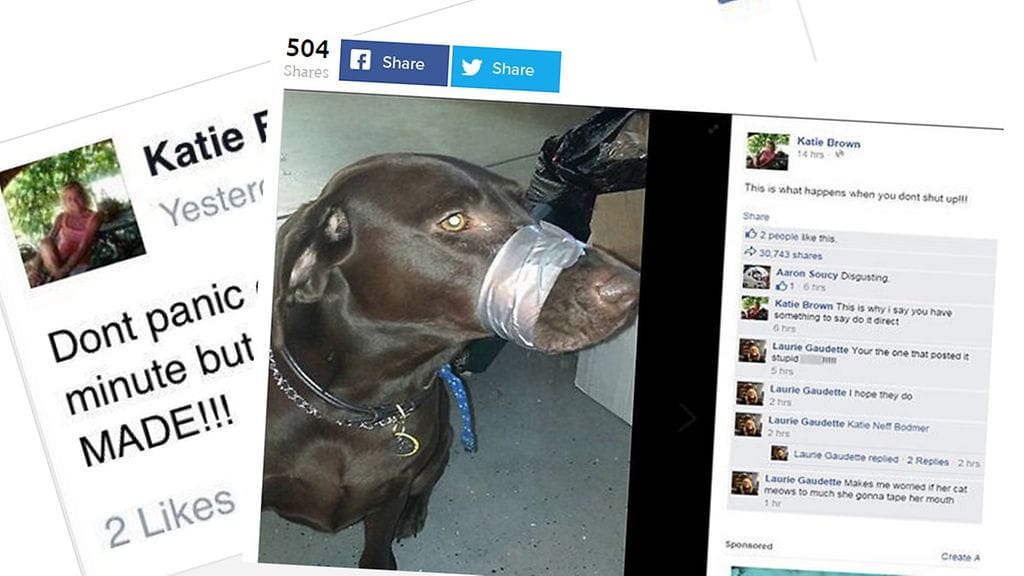 Ilmastointiteipillä teipattu koira sai ihmiset liikkeelle ympäri maailmaa. Asiaa tutkitaan rikoksena.