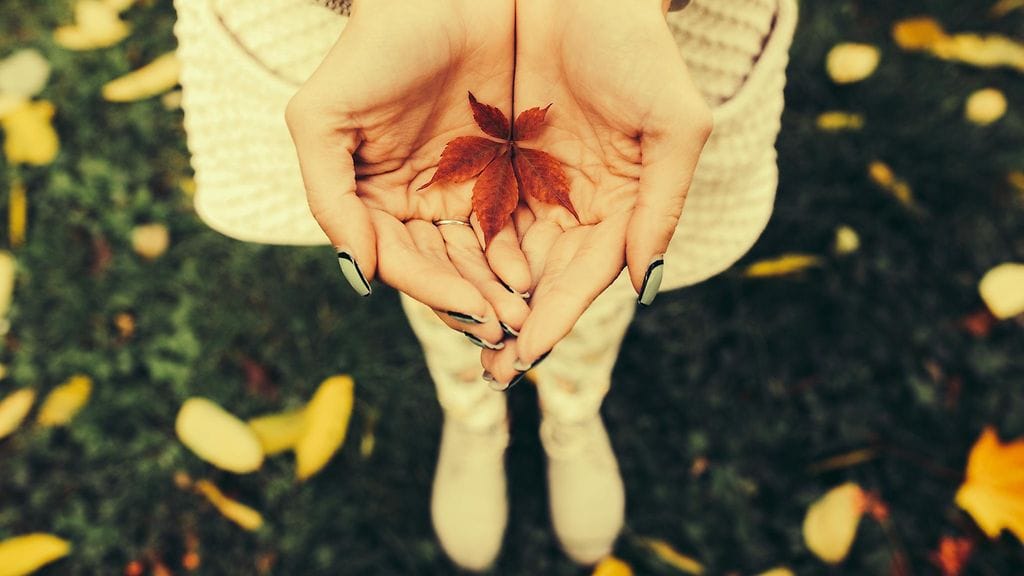 Tyttö syksyllä metsässä (3)