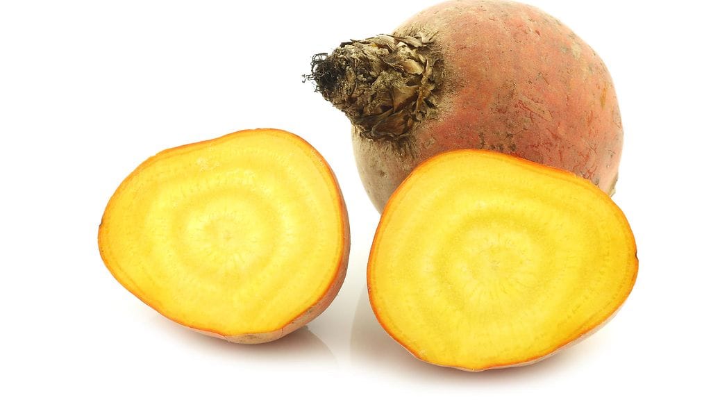 Keltajuuri on suomalaisille huomattavasti punajuurta etäisempi tuttavuus.