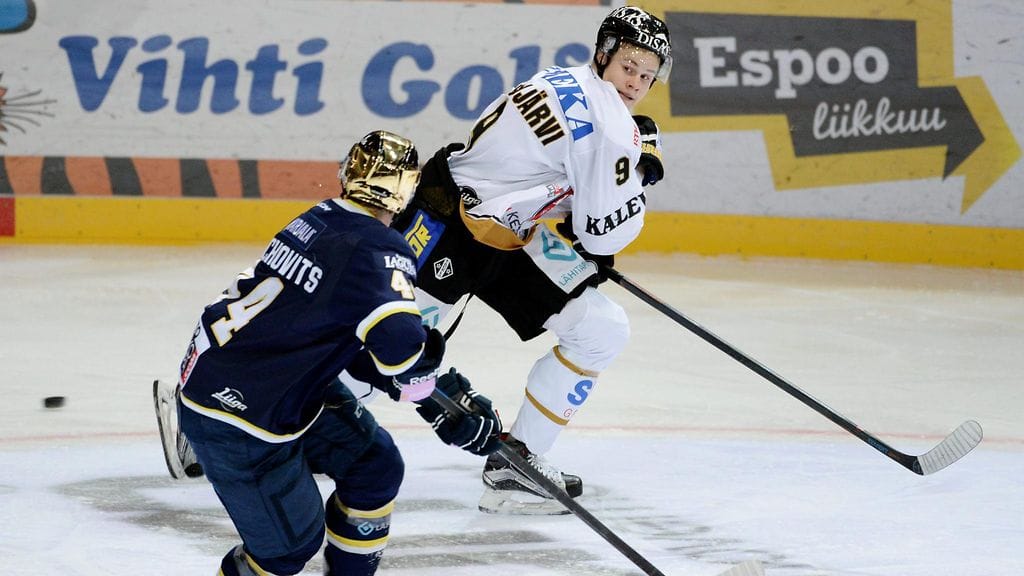 Tähyääkö Kim Hirschovits kärppäpaitaa?