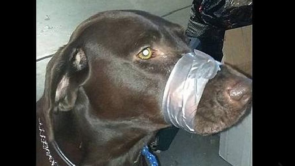 Kuvakaappaus Facebookista.