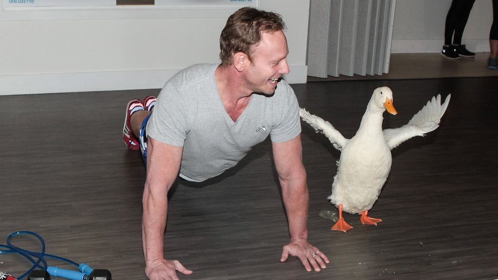 Ian Ziering