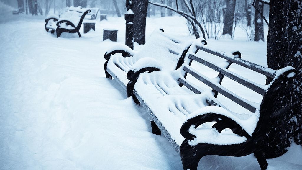 COLtalvi, puisto, penkit