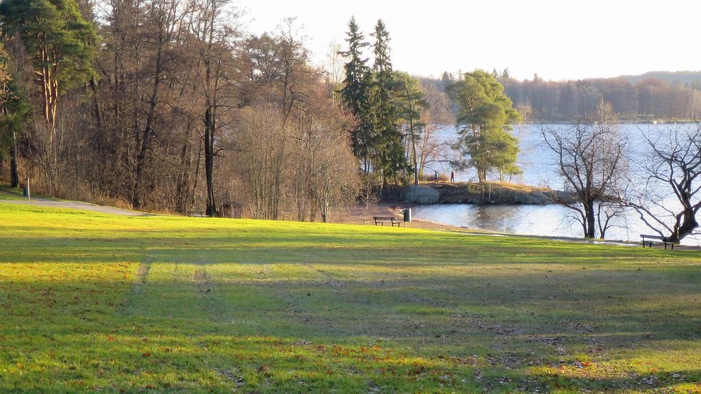 Joulukuun vihreyttä Tampereella 7. joulukuuta 2015. Kuva: Anneli Niemenmaa