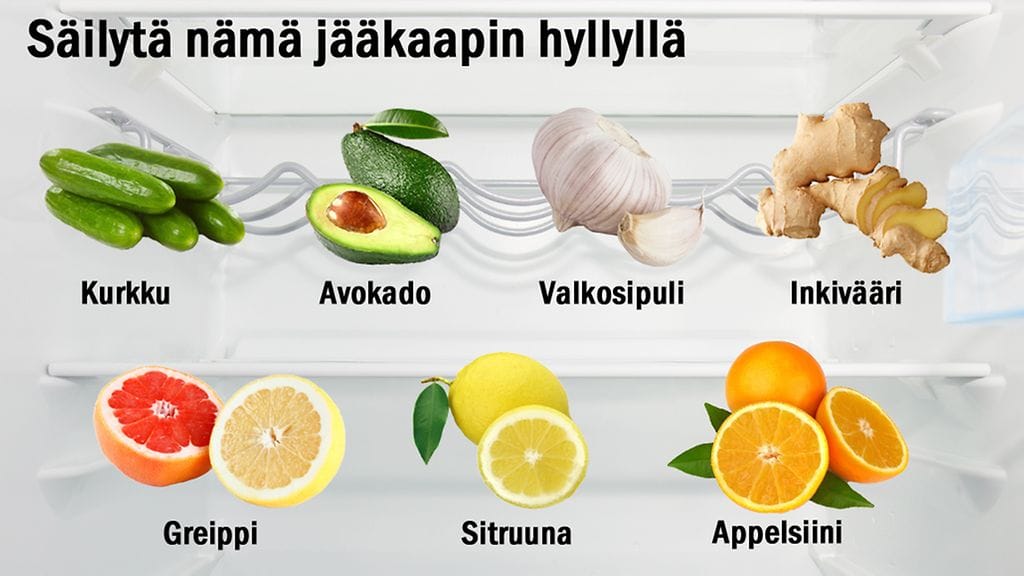 Vihannekset ja jääkaappi 2