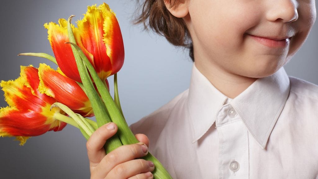 poika ja tulppaaneja