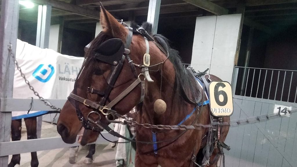 Red Diamond Via ja Antti Ala-Rantala ovat vajaan vuoden aikana voittaneet yhdessä jo seitsemän kertaa.