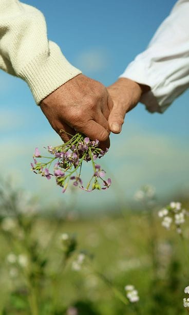 Kädestä pitämistä