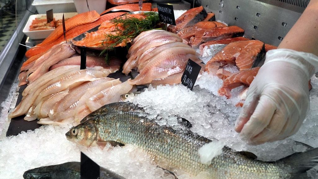 Kuvituskuva. Sätkivat kalat ovat aiheuttaneet helsinkiläiselle kalakaupalle päänvaivaa.