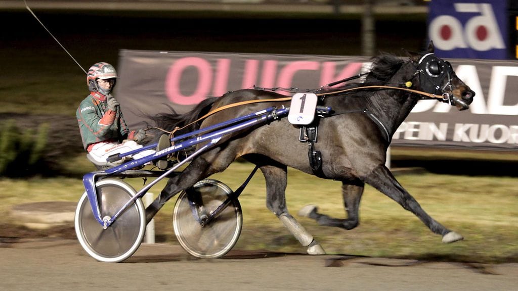 Jukka Torvisen ohjastama Stormysky ei saanut muista vastusta Teivon Toto76-kierroksen päätöslähdössä.