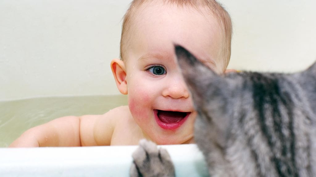 Eläimet ja lapset sopivat hyvin yhteen.