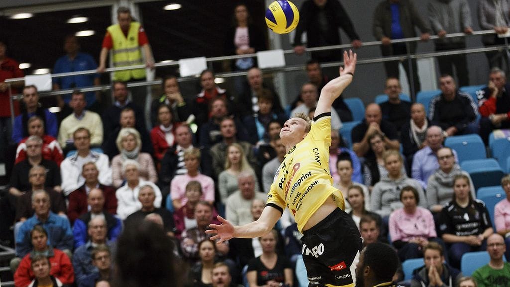 Antti Ropponen, Tiikerit