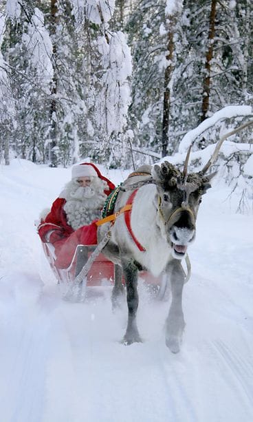 joulupukki ja poro