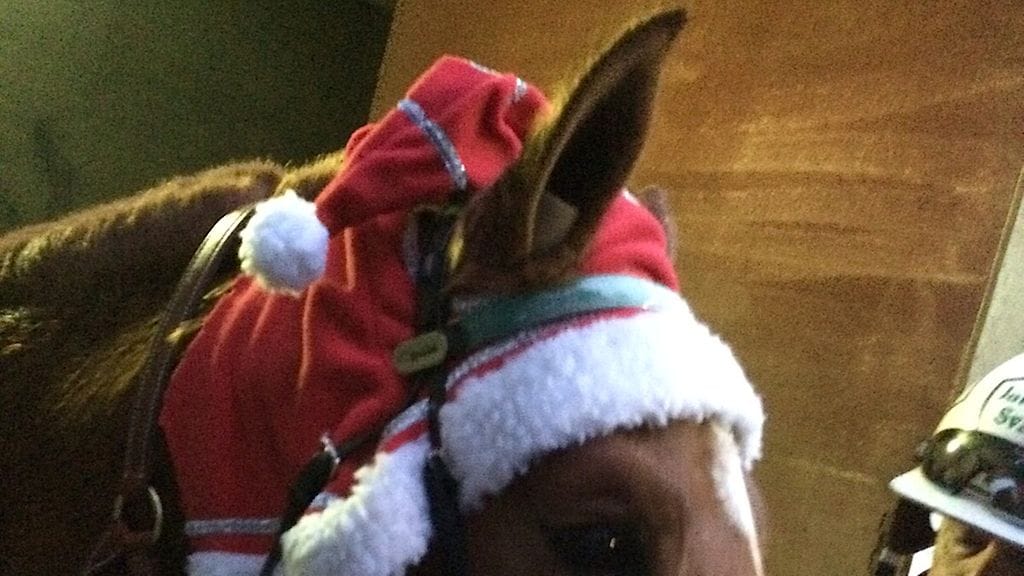 Vitter ja Jalmari Svart