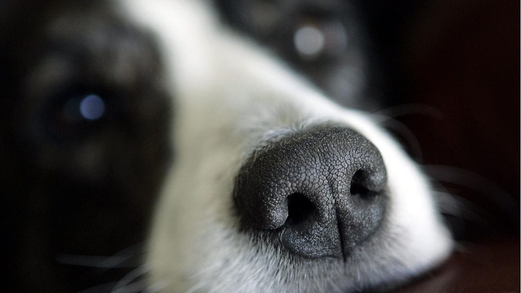 Asiantuntijat arvioivat, että Tesyn vuonna 2014 kerätyistä lahjoituksista saattaa puuttua kymmeniätuhansia euroja. Kuvituskuva.