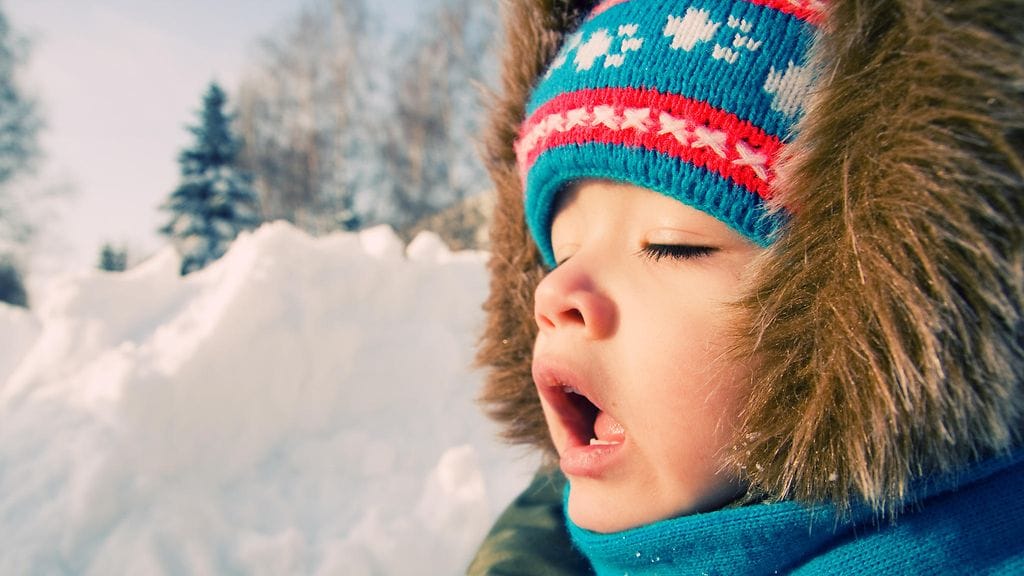 Erään tutkimuksen mukaan jopa kaksi kolmesta lasten pehmoleluista sisälsi stafylokokkibakteereja.