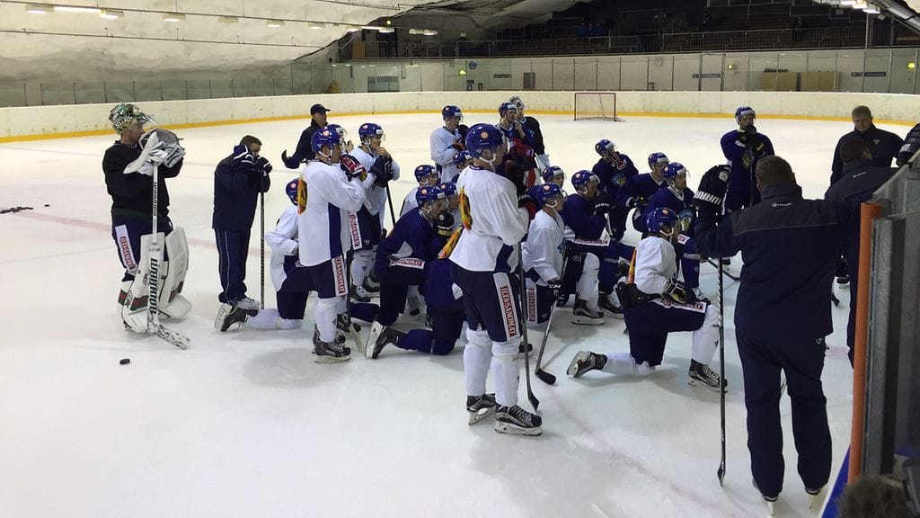 Leijonat tiistaina Helsingissä.