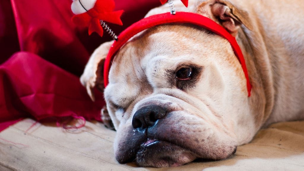 Joidenkin mielestä aika tuntuu pysähtyvän joulunpyhinä.