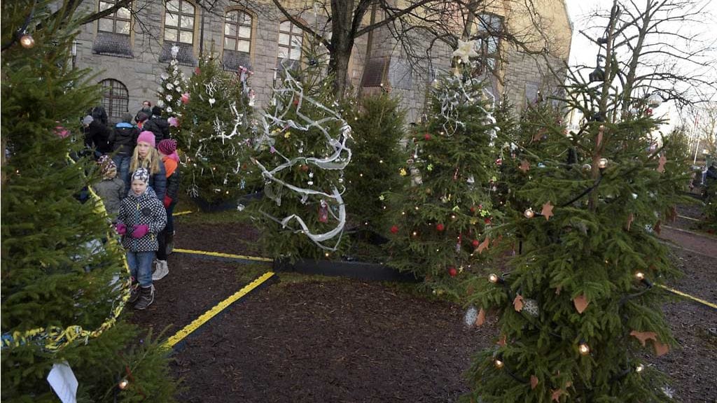 Kansallismuseon Joulukuusimetsän avajaisia vietettiin Helsingissä 5. joulukuuta 2015.