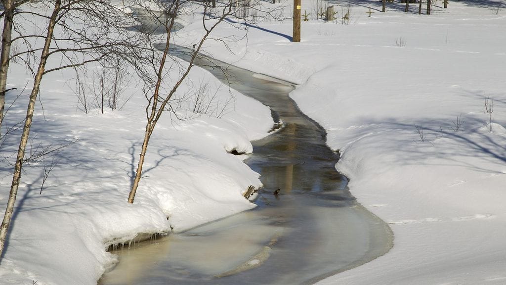 Talvivaaran kaivoksen ylijäämävesien juoksutusta Oulujoen vesistöön eli pohjoisen suuntaan, kuvassa pohjoisen puolen juoksutusta Härkäpuroa pitkin. Kuvituskuvaa.