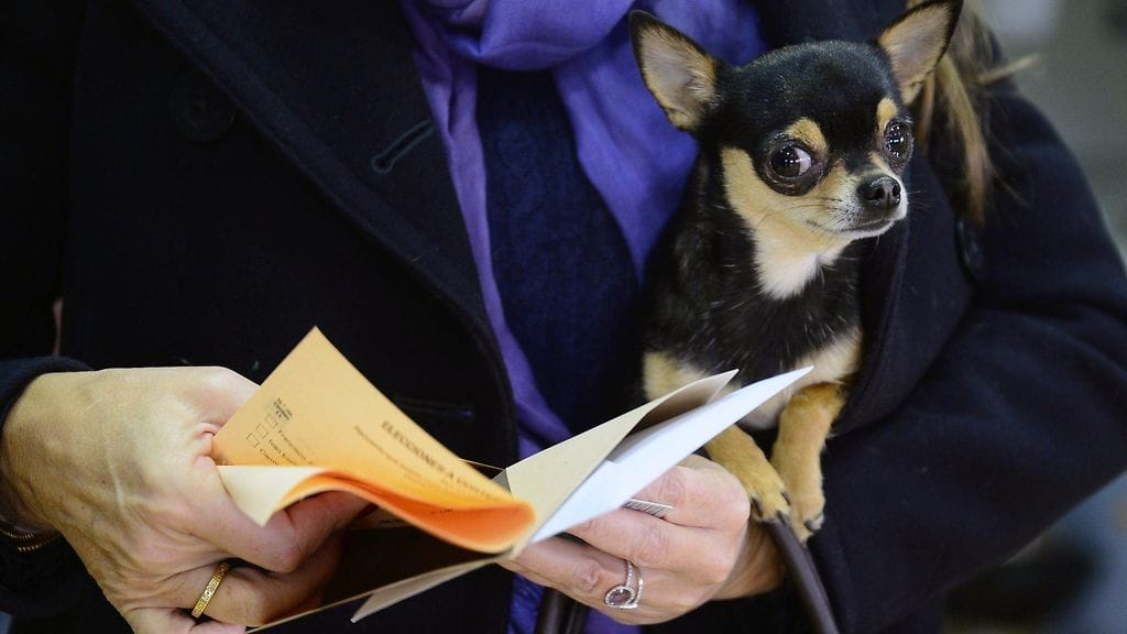 Espanjalainen nainen äänestämässä parlamenttivaaleissa yhdessä koiransa kanssa.
