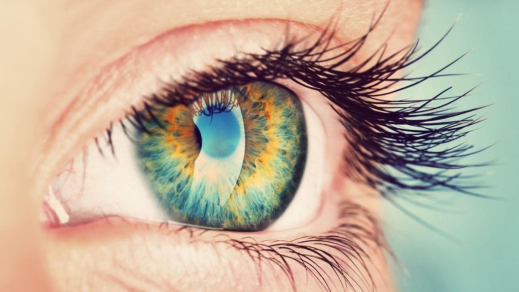 Tiesitkö, että ruskeat silmät ovat oikeasti siniset?