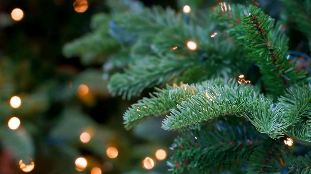 Kierrätä joulukuusi oikein.