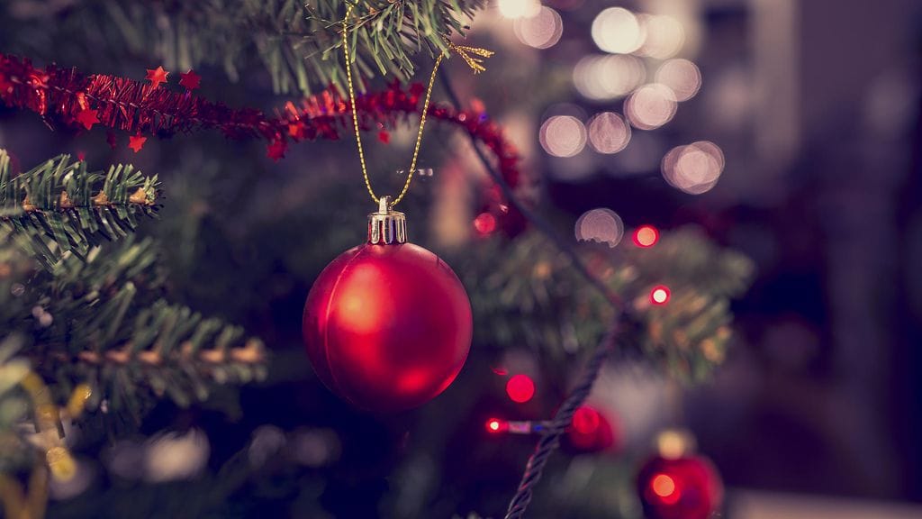 Joulukuusi ei ole niin harmiton koriste kuin voisi luulla.