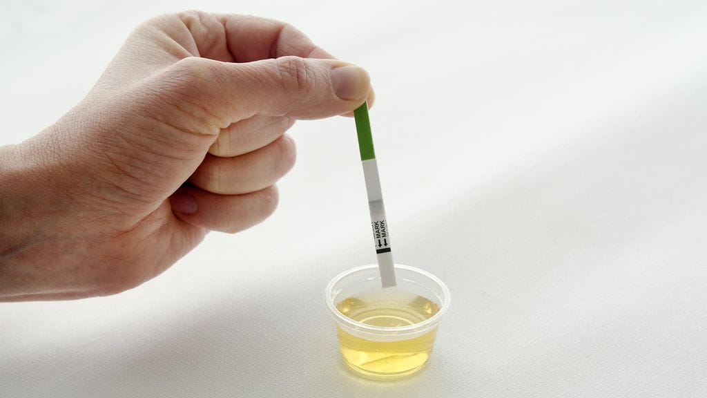 Tiiliskiviä valmistetaan Etelä-Afrikasta ihmisen virtsan avulla. Kuvituskuva.